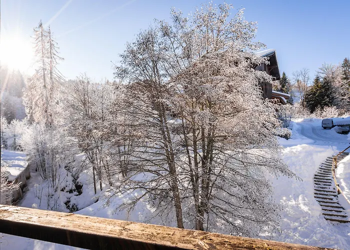 Vacanceole - Grand 3* Morillon